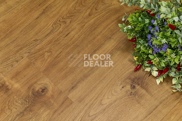 Кварцвиниловые полы FineFloor FF-1500 Wood FF-1569 Дуб Клен Верден фото 1 | FLOORDEALER